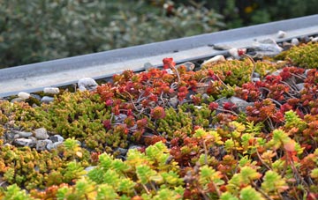 the cost of Burnedge green roof installation