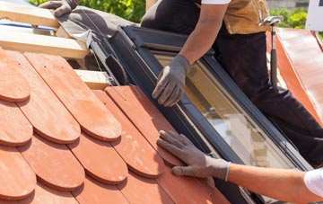 replacement Burnedge roof windows